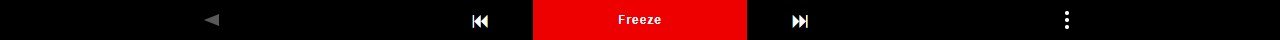 Toolbar with Freeze button active and navigation arrows enabled